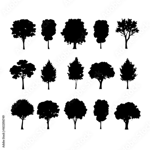 25 Trees: Nature’s Majestic Guardians