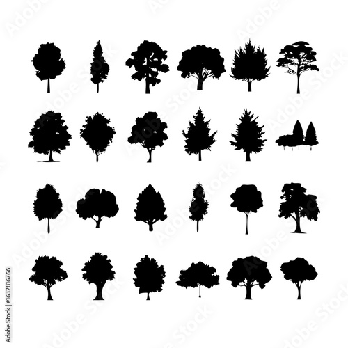 25 Trees: Nature’s Majestic Guardians