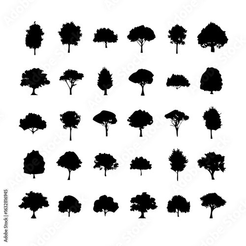 25 Trees: Nature’s Majestic Guardians