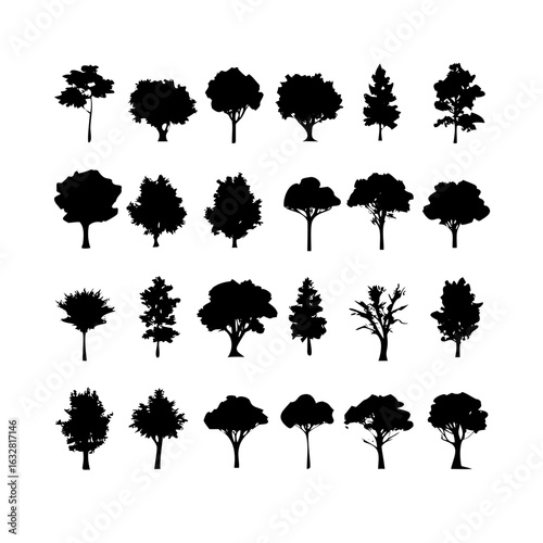 25 Trees: Nature’s Majestic Guardians
