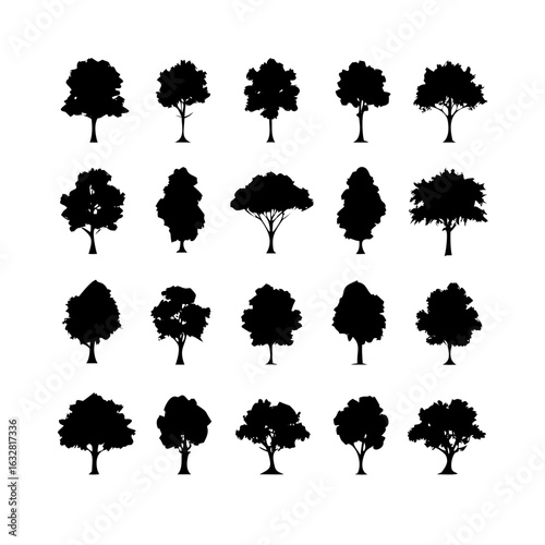 25 Trees: Nature’s Majestic Guardians