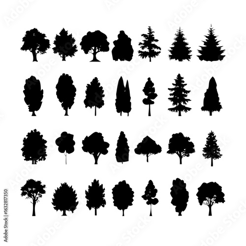 25 Trees: Nature’s Majestic Guardians
