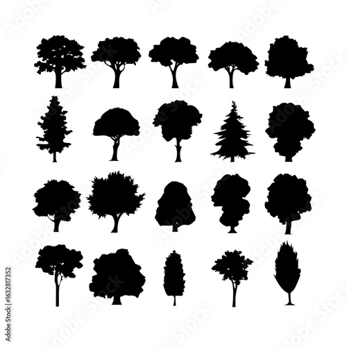 25 Trees: Nature’s Majestic Guardians