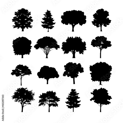 25 Trees: Nature’s Majestic Guardians