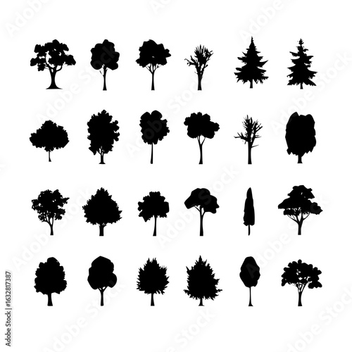 25 Trees: Nature’s Majestic Guardians
