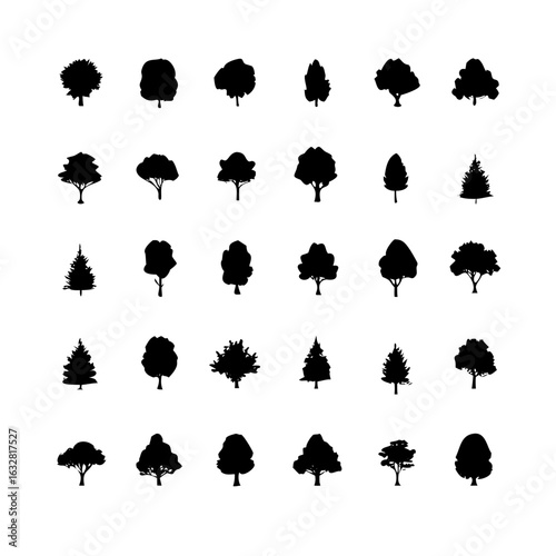 25 Trees: Nature’s Majestic Guardians