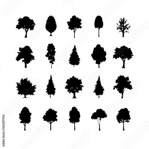 25 Trees: Nature’s Majestic Guardians