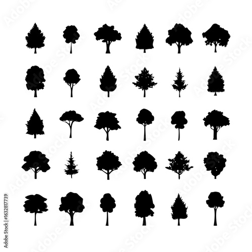 25 Trees: Nature’s Majestic Guardians