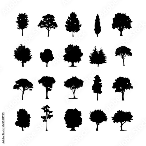 25 Trees: Nature’s Majestic Guardians