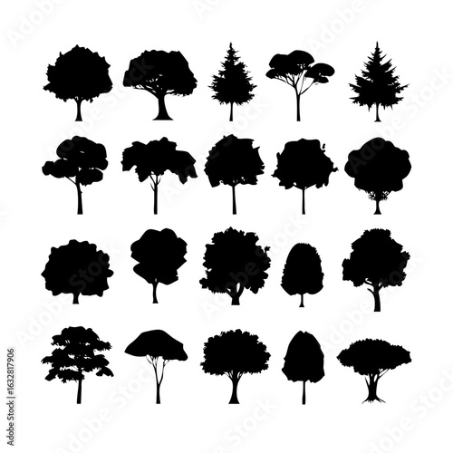 25 Trees: Nature’s Majestic Guardians