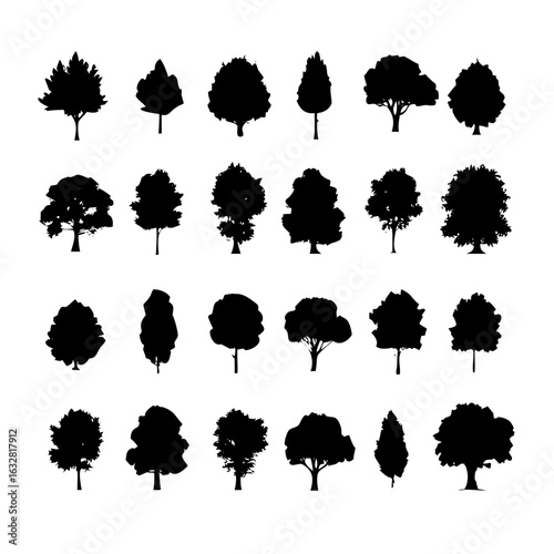 25 Trees: Nature’s Majestic Guardians