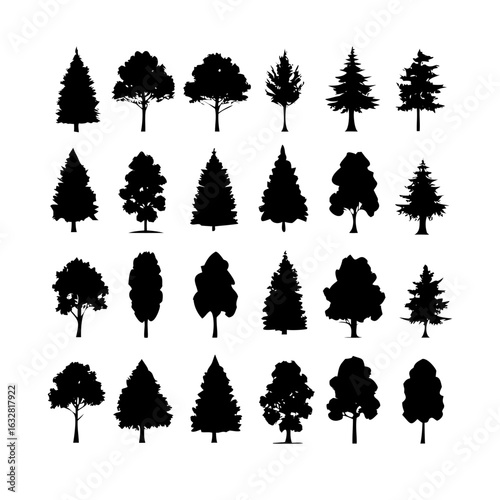 25 Trees: Nature’s Majestic Guardians