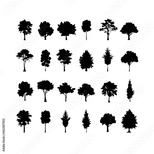 25 Trees: Nature’s Majestic Guardians