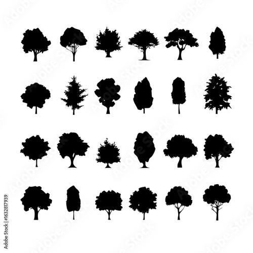 25 Trees: Nature’s Majestic Guardians