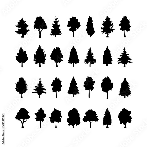 25 Trees: Nature’s Majestic Guardians