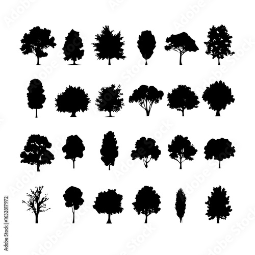 25 Trees: Nature’s Majestic Guardians