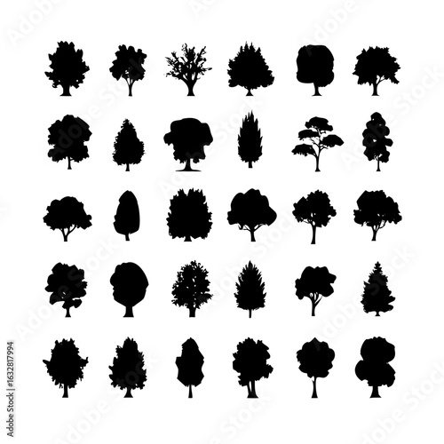 25 Trees: Nature’s Majestic Guardians