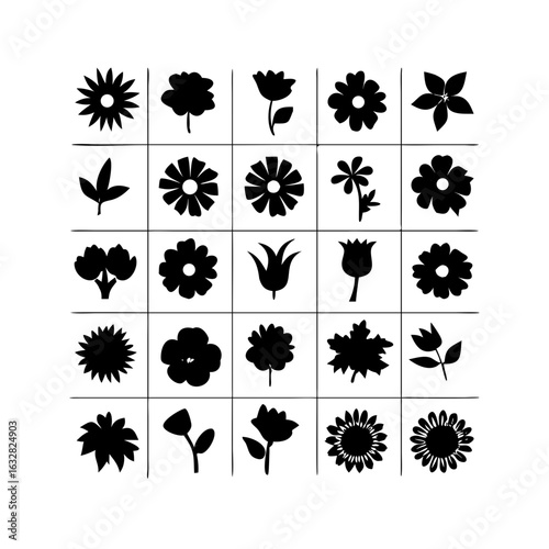 25 Flowers: Nature’s Colorful Blooms