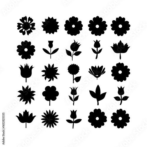 25 Flowers: Nature’s Colorful Blooms