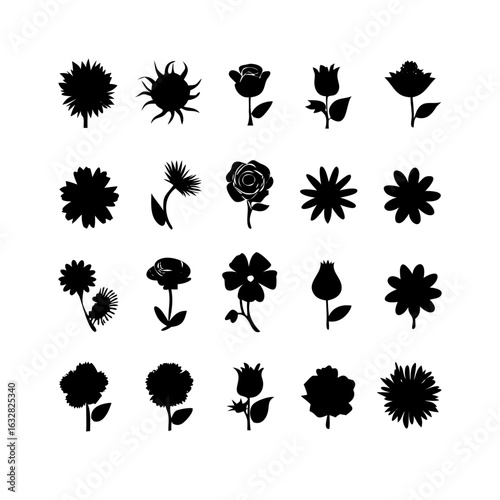 25 Flowers: Nature’s Colorful Blooms