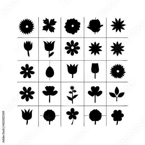 25 Flowers: Nature’s Colorful Blooms