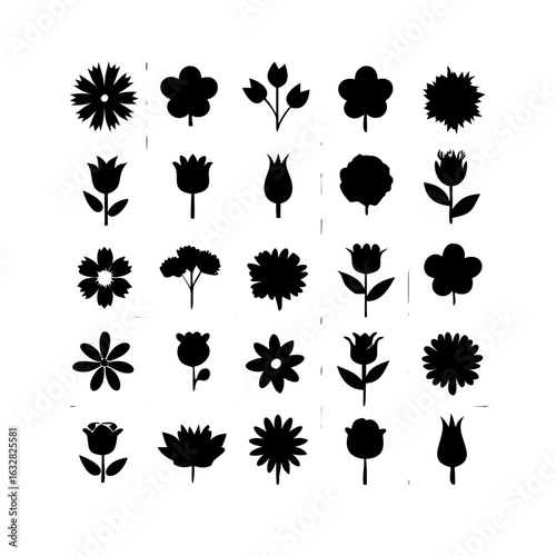 25 Flowers: Nature’s Colorful Blooms