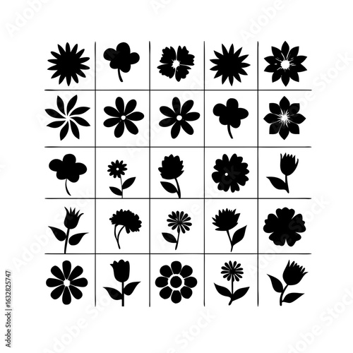 25 Flowers: Nature’s Colorful Blooms