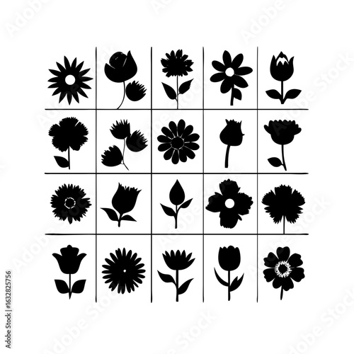25 Flowers: Nature’s Colorful Blooms