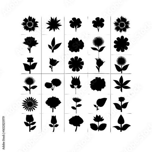 25 Flowers: Nature’s Colorful Blooms