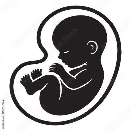 Fetus silhouette isolated on white background a vector illustration of human embryo development, pregnancy, and the miracle of life inside the womb, representing new beginnings