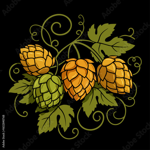 Hops illustration shows detailed beer hops with curls, leaves and flowers. Brewing hops plants bring ingredient for fresh beer, floral and leafy decorations. Commercial hops illustration,