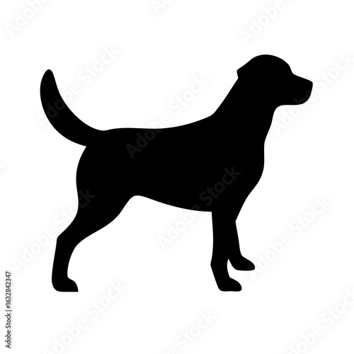 Dog: The Loyal Companion and Beloved Pet