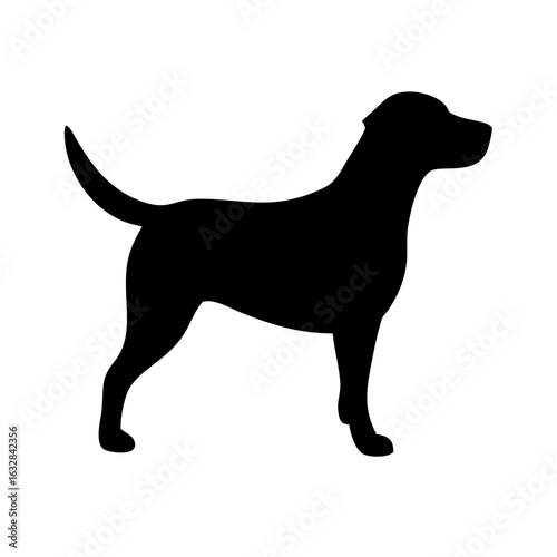 Dog: The Loyal Companion and Beloved Pet