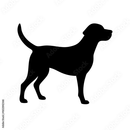 Dog: The Loyal Companion and Beloved Pet