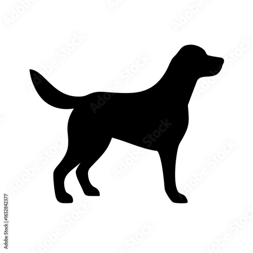 Dog: The Loyal Companion and Beloved Pet