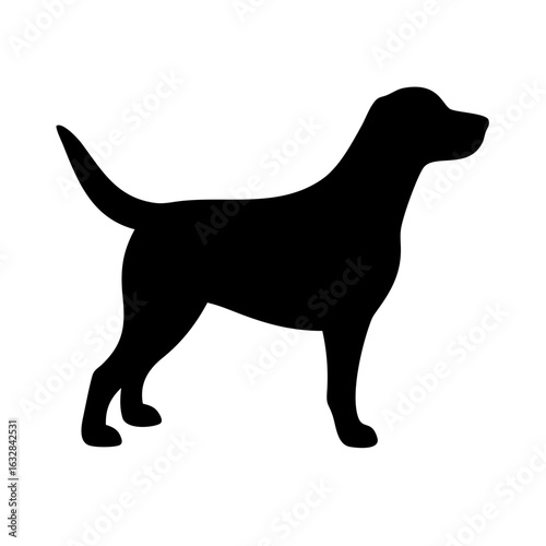 Dog: The Loyal Companion and Beloved Pet