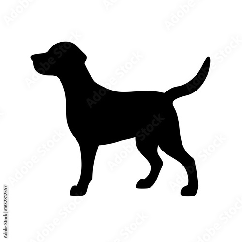 Dog: The Loyal Companion and Beloved Pet