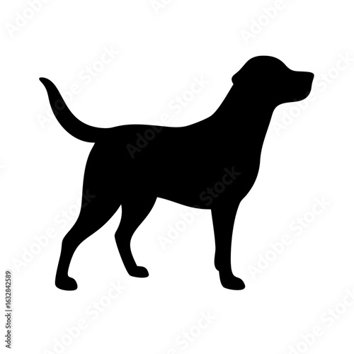 Dog: The Loyal Companion and Beloved Pet