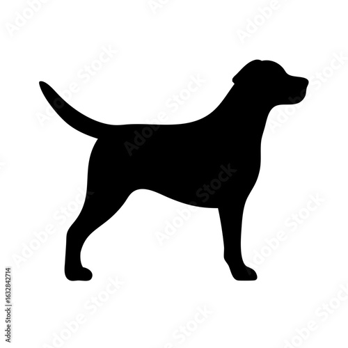 Dog: The Loyal Companion and Beloved Pet