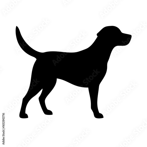 Dog: The Loyal Companion and Beloved Pet
