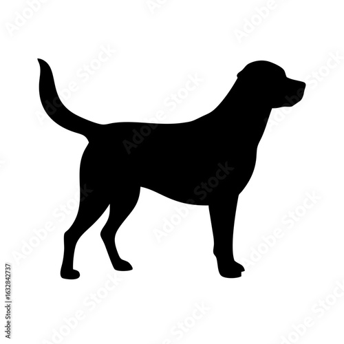 Dog: The Loyal Companion and Beloved Pet