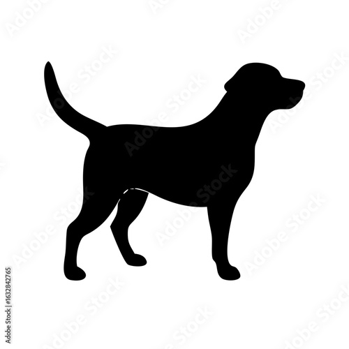 Dog: The Loyal Companion and Beloved Pet