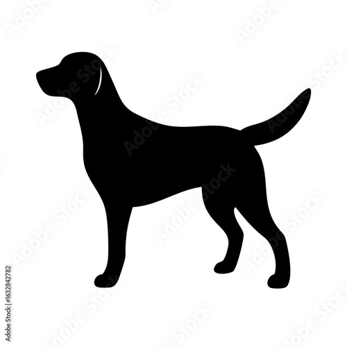 Dog: The Loyal Companion and Beloved Pet