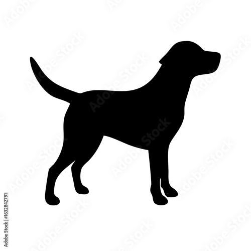 Dog: The Loyal Companion and Beloved Pet