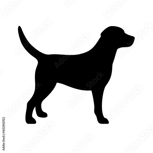 Dog: The Loyal Companion and Beloved Pet