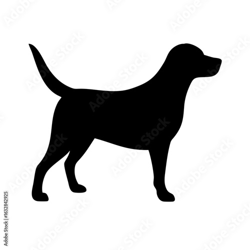 Dog: The Loyal Companion and Beloved Pet