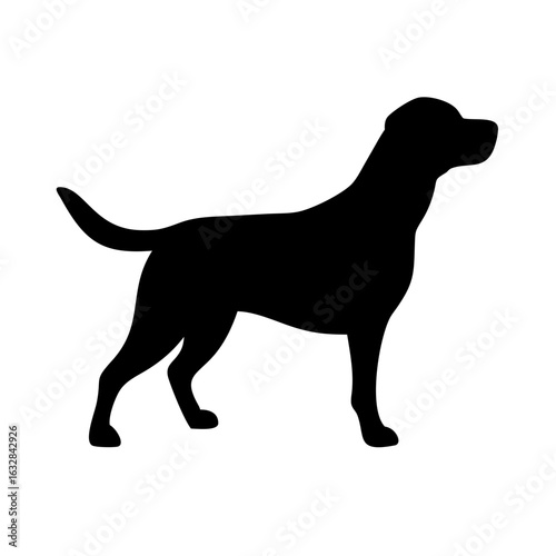 Dog: The Loyal Companion and Beloved Pet
