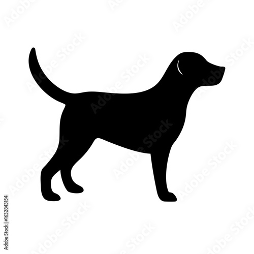 Dog: The Loyal Companion and Beloved Pet