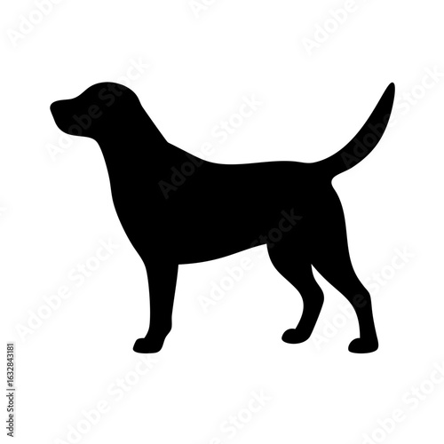 Dog: The Loyal Companion and Beloved Pet
