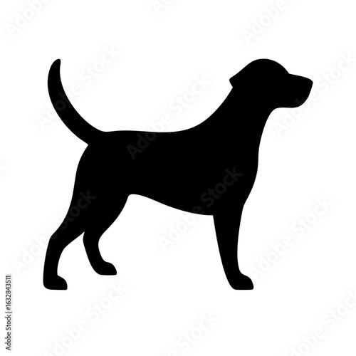 Dog: The Loyal Companion and Beloved Pet